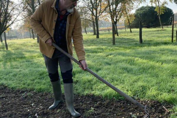 jardinage (5)